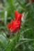 Photo Number 14