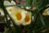 Photo Number 5
