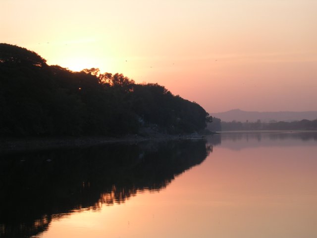 Photograph