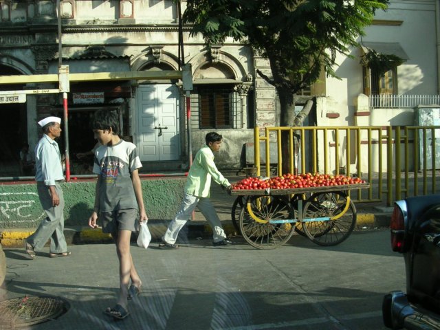Photograph