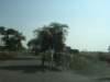 Photo Number 9