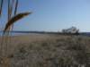 amstrandvomlakemichigan4_small.jpg